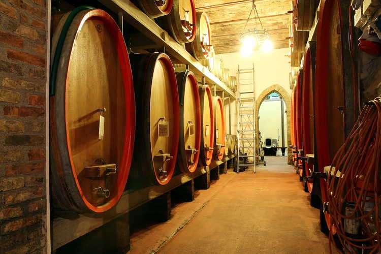 Agriturismo Palazzo Bandino - Ben 6 generazioni si sono tramandate i segreti della produzione vinicola